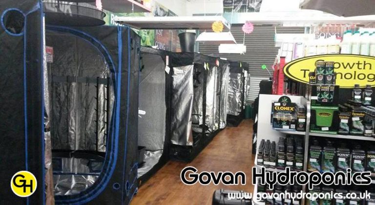 10635777 718051768292179 4801924407029041102 n 768x420