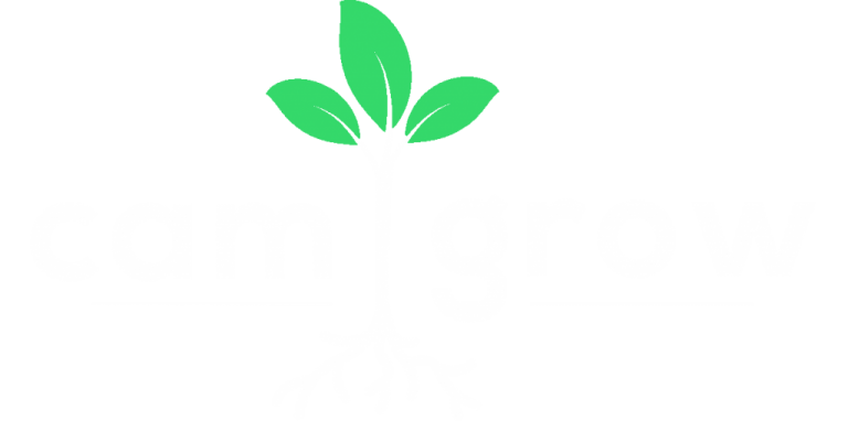 logo white 1024x509 768x382