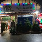Christmas Trees for Sale in Stalybridge
